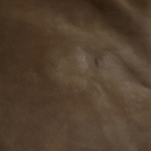 Vintage Gallery Brown Sued Leather Jacket with Cream Accents - Picture 10 of 11